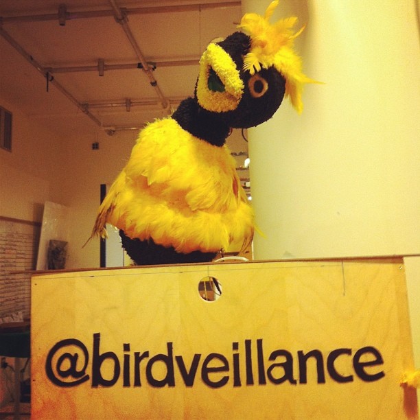 Birdveillance